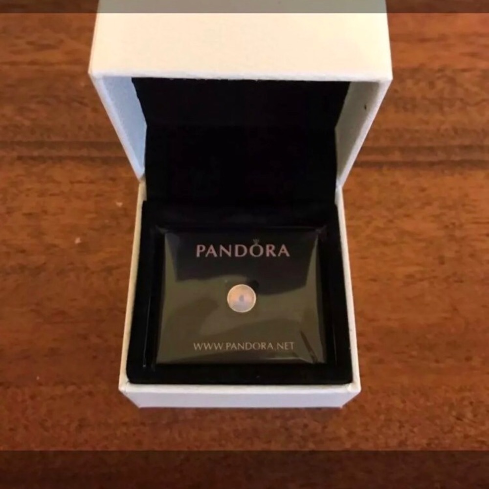 Pandora charm for necklace